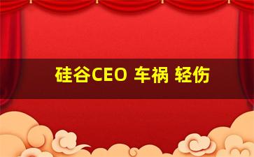 硅谷CEO 车祸 轻伤